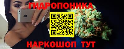 спиды Дубна