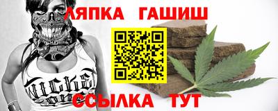 спиды Дубна