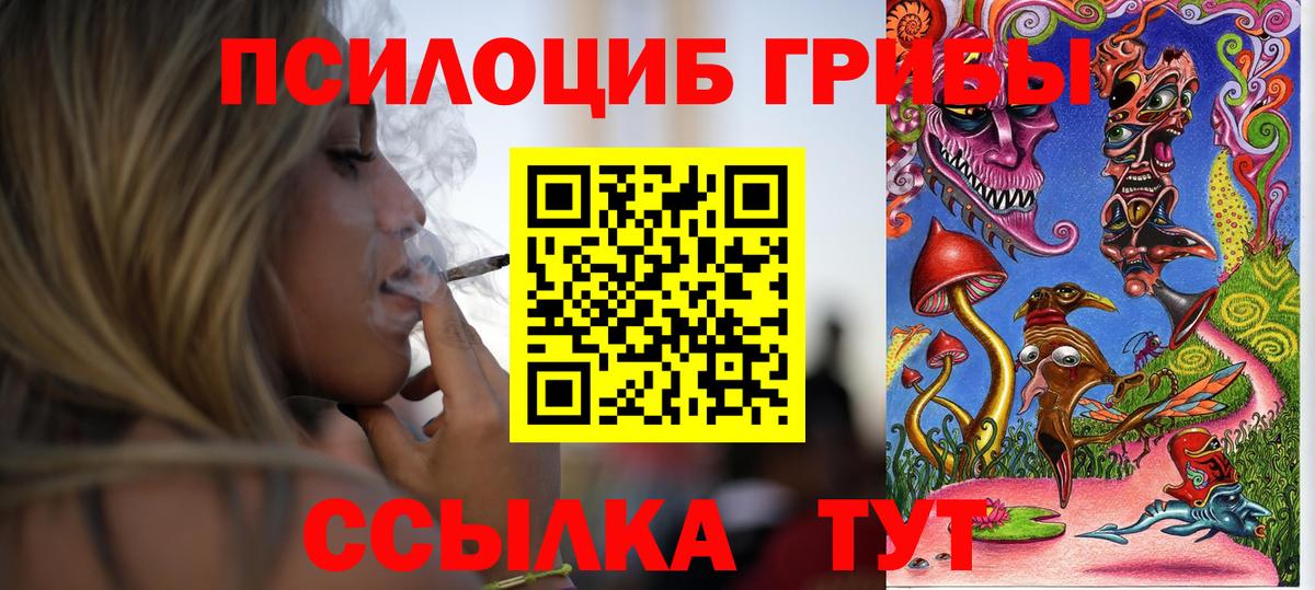 Псилоцибиновые грибы мухоморы  Вход с VPN  Псилоцибиновые грибы MAGIC MUSHROOMS  купить  цена  Петрозаводск 