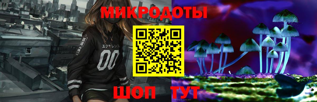 Псилоцибиновые грибы GOLDEN TEACHER Петрозаводск