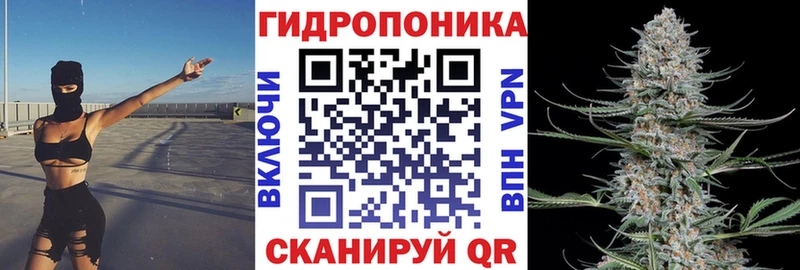 Конопля сатива  сайты даркнета клад  Петрозаводск  MEGA ТОР 
